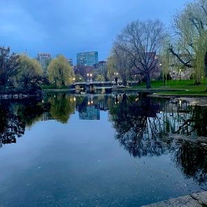 Meet your Posher, Joanne